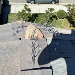 IQ Solar Cleaning