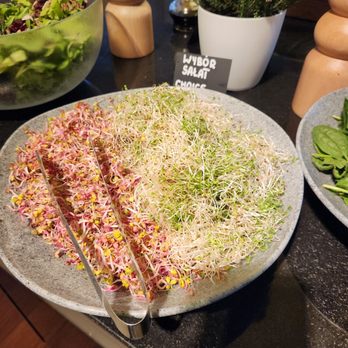 Sheraton Sopot Hotel - Breakfast buffet - Hotels Near Me - Sopot, PM Sheraton Sopot Hotel - Breakfast buffet - Hotels Near Me - Sopot, PM