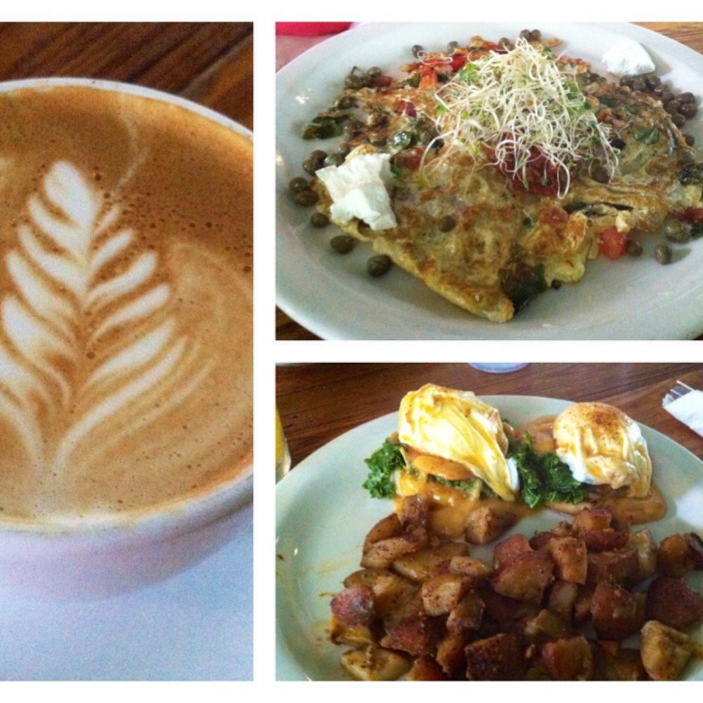 Cenote - Cute leaf on a very poorly foamed cap, under cooked omelette, decent kale Benedict. - Coffee & Tea Near Me - Austin, Texas Cenote - Cute leaf on a very poorly foamed cap, under cooked omelette, decent kale Benedict. - Coffee & Tea Near Me - Austin, Texas