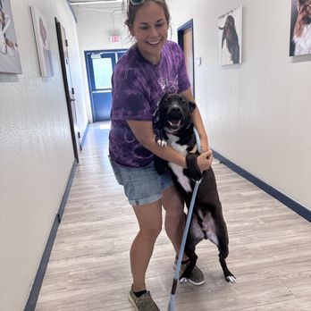 The Dog Academy - Pet Groomers Near Me - Katy, Texas