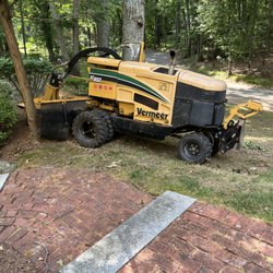 All city stump grinding - Yegamos don diga el cliente