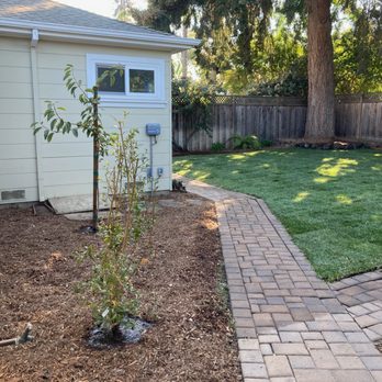 Modica Landscaping - a brick path in a backyard - Landscaping Near Me - Redwood City, California Modica Landscaping - a brick path in a backyard - Landscaping Near Me - Redwood City, California