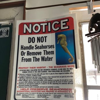 Plantation Adventure Center - Dive Shops Near Me - Crystal River, Florida Plantation Adventure Center - Dive Shops Near Me - Crystal River, Florida
