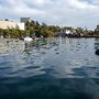 Photo of Lago La Concordia