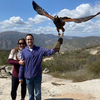 Sky Falconry - Specialty Schools Near Me - Alpine, California Sky Falconry - Specialty Schools Near Me - Alpine, California