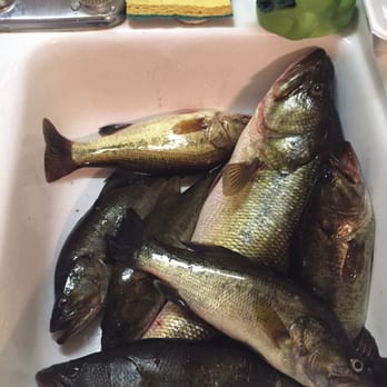 Caddo Lake Cabins - Vacation Rentals Near Me - Uncertain, Texas