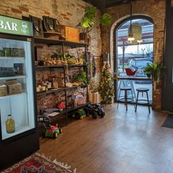 Roots Wellness Bar - Gorgeous old building w/large arched windows, original brick, a natural wholesome space, with plants and mushroom decor!