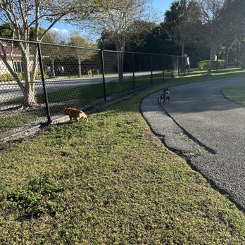 Markham Park - Brakham park. Loki and willow. - Parks Near Me - Sunrise, Florida