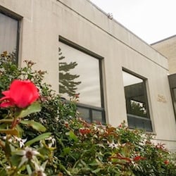 Paoli Library