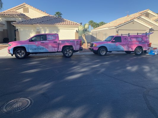 FLAMINGO POOL - Updated January 2025 - Las Vegas, Nevada - Pool & Hot