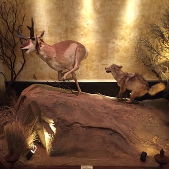 Clifton's Republic - Taxidermy - Bars Near Me - Los Angeles, California