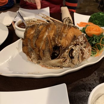 Jasmine Thai Restaurant - Red snapper - Thai Near Me - Destin, Florida Jasmine Thai Restaurant - Red snapper - Thai Near Me - Destin, Florida