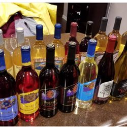 Stanly County Winter Wine Festival - Our wine purchases!