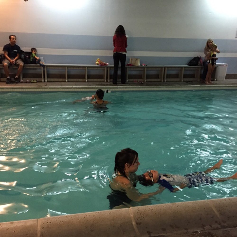Aquatic Explorations & Safety Training - The pool. - Swimming Pools Near Me - Los Alamitos, California Aquatic Explorations & Safety Training - The pool. - Swimming Pools Near Me - Los Alamitos, California