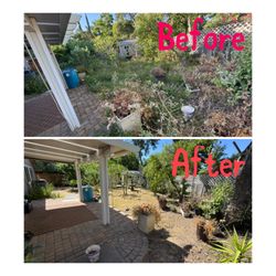 Ed's Lawn Care Services - Clean up