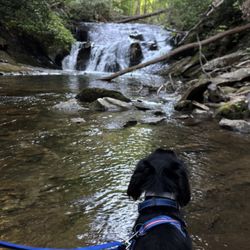 Dukes Creek Falls Trail
