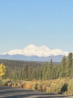 Denali Jeep Excursions