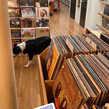 Plaid Room Records - Vinyl Records Near Me - Loveland, Ohio Plaid Room Records - Vinyl Records Near Me - Loveland, Ohio