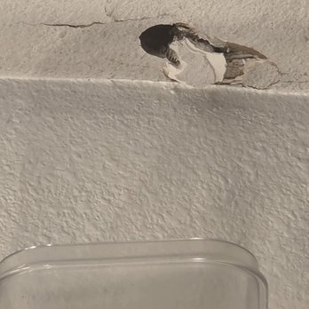 Cali First Remodel - My roof was done in December. It rained and my bathroom ceiling and lights had water pouring in on it!! We're in July 2026 - General Contractors Near Me - Marina del Rey, California