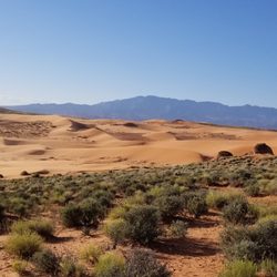 Coral Sand Adventures - Sand dunes