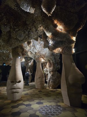 Arcadia Earth Toronto by null