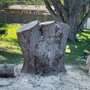 Photo of Schneck's Tree Removal