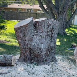 Schneck's Tree Removal