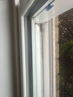 City Window Cleaning