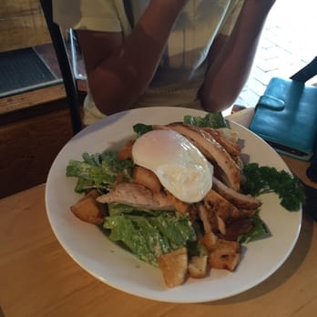 Fat Dog - Chicken Caesar Salad - Cafes Near Me - Rotorua, BOP Fat Dog - Chicken Caesar Salad - Cafes Near Me - Rotorua, BOP