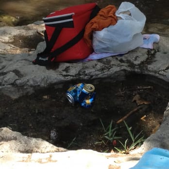 Krause Springs - This can is actually a rare grotto plant. - Campgrounds Near Me - Spicewood, Texas