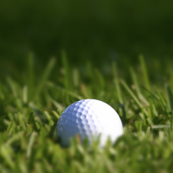 Pinnacle Golf Club