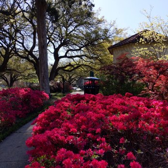 Flippen Park - Dallas used to be covered head to toe in Azelias. Not as many anymore but enough to enjoy! - Parks Near Me - Highland Park, Texas