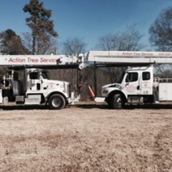 Action Tree Service - Tree Services Near Me - Birmingham, Alabama