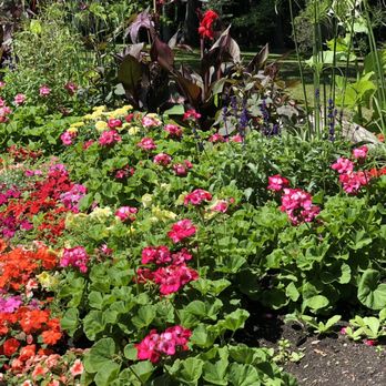 Beacon Hill Park - Parks Near Me - Victoria, British Columbia