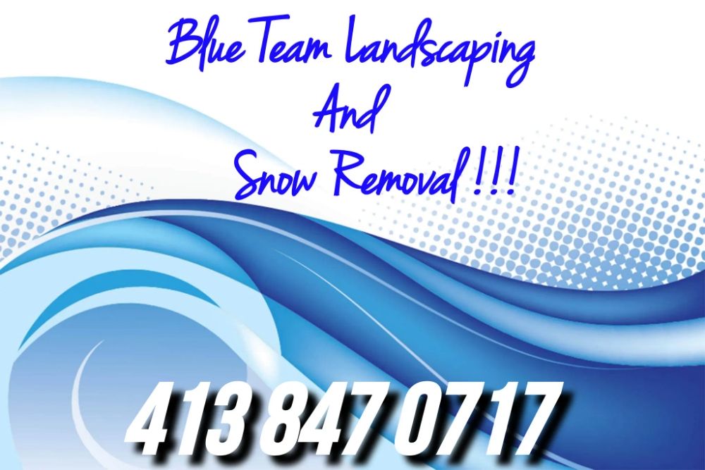 BLUE TEAM LANDSCAPING AND SNOW REMOVAL 59 Photos Snow Removal