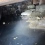 Dialed in Plumbing