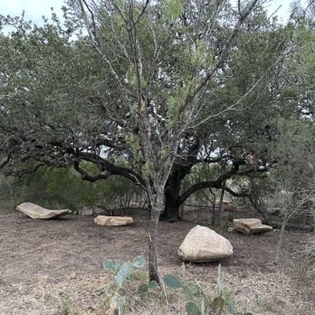 Madla Greenway - Seating area at Madla Greenway - Hiking Near Me - San Antonio, Texas Madla Greenway - Seating area at Madla Greenway - Hiking Near Me - San Antonio, Texas
