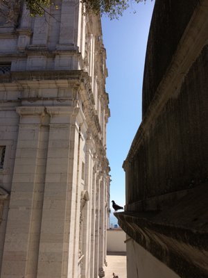 Mosteiro de São Vicente de Fora by null