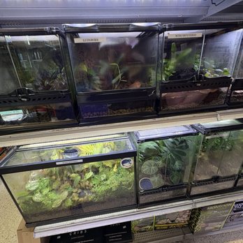 Pet Bazaar - Pet Stores Near Me - Casselberry, Florida