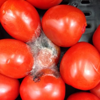 Walmart Supercenter - Yuck! - Grocery Near Me - Omaha, Nebraska