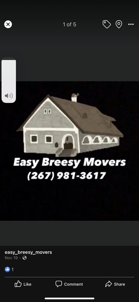 Slide of Tyler & Friends Moving