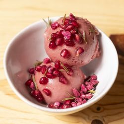 Anelya - Dessert Pomegranate Sorbet
