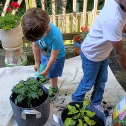Anne's Family Child Care