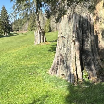 Port Ludlow Golf Course - Golf Near Me - Port Ludlow, Washington Port Ludlow Golf Course - Golf Near Me - Port Ludlow, Washington