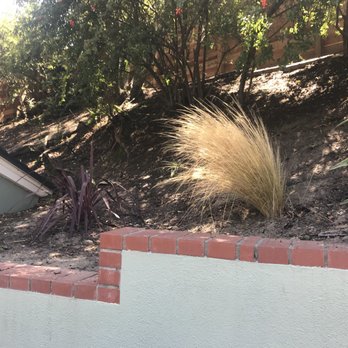 Echo Garden - Nurseries & Gardening Near Me - Los Angeles, California