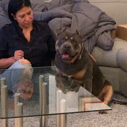 Furever Pawz Pet Service