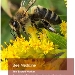 KimSightful - Bee Totem Medicine - The Sacred Worker