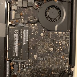 Mac or PC Repair - 2020-07-21 - Opened a MacBook Pro 13" 2012 today and found this inside. Bugs! Bugs! Bugs!