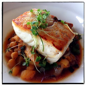 The Pointe Restaurant - Pan Roasted Halibut with Chanterelle, Apricot, Chickpeas and Roasted Scallion Vinaigrette - Canadian (New) Near Me - Tofino, British Columbia The Pointe Restaurant - Pan Roasted Halibut with Chanterelle, Apricot, Chickpeas and Roasted Scallion Vinaigrette - Canadian (New) Near Me - Tofino, British Columbia