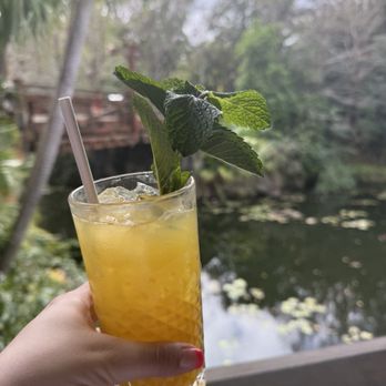 Nomad Lounge - Zingiber Fizzie (non-alcoholic) - Asian Fusion Near Me - Lake Buena Vista, Florida Nomad Lounge - Zingiber Fizzie (non-alcoholic) - Asian Fusion Near Me - Lake Buena Vista, Florida